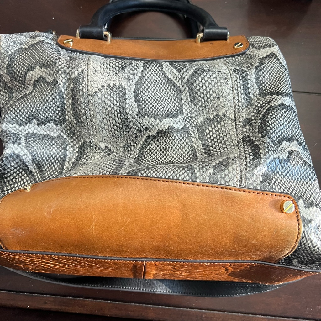 Python Vince Cumato